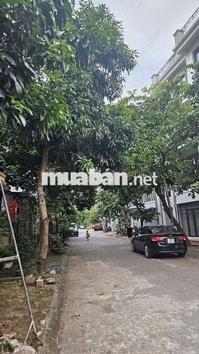 Đất trung tâm xã Gia Lâm, khu TĐC 31ha - Mặt tiền giáp dãy shophouse