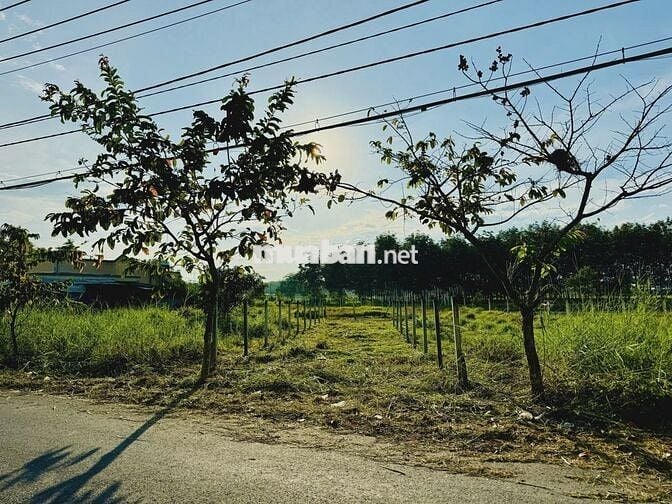 Bán đất Bàu Thiên - Nhuận Đức: 125,8m2(5x27) - Mặt tiền. Giá 750 triệu