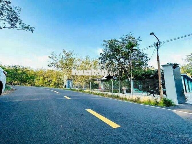 Cô Sáu gần nhà có thằng con vỡ nợ cần bán giá rẻ trả nợ ạ