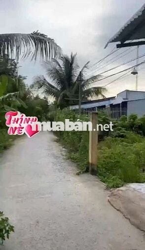 BÁN NHÀ
CẤP 4 THỔ CƯ - MẶT TIỀN SÔNG BẾN BẠ, TÂN PHÚ (CÁCH KDC TÂN PHÚ