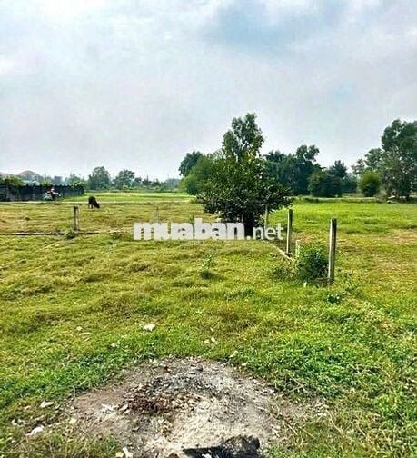 140m2 mặt tiền Lê Thị Vui 360Tr cách trường học + UBND Phước Hiệp 500m