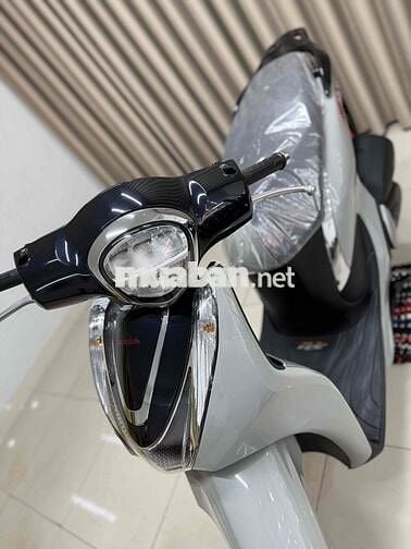Sh mde baẩn đặc biệt 2024 cìn rất mới