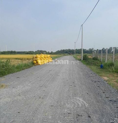 Bán 1500m2 đất thổ cư, xã Tân Phú Trung, Củ Chi, gần bệnh viện Xuyên Á