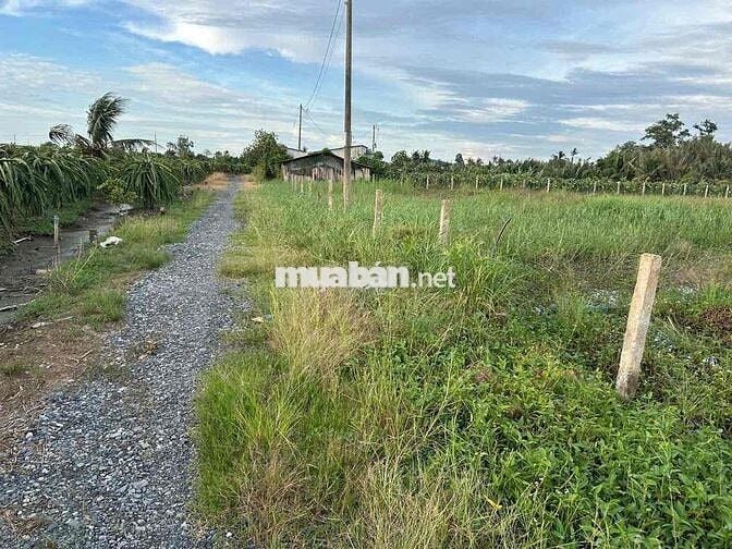 Cần bán khu đất vườn ven sông Tầm Vu, Long An