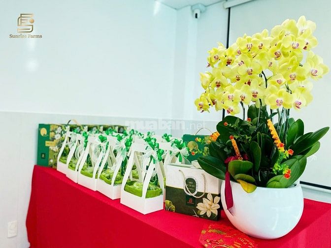 CTY CP TM DV ĐT SUNRISE FARMS TUYỂN DỤNG CHUYÊN VIÊN KD BẤT ĐỘNG SẢN