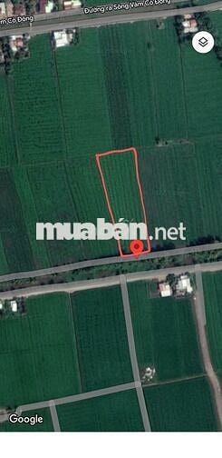 Bán Đất Lúa Chính Chủ 6.147m2 - dự án ĐT 822B, Đức Hòa, Long An