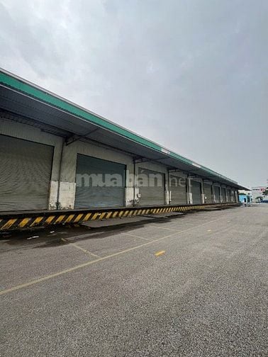 Cho thuê kho xưởng sản xuất, logistics chuẩn KCN – Phú Thịnh Phát, Chí