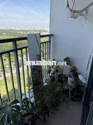 [PASS PHÒNG CHUNG CƯ Q7 BOULEVARD HƯNG THỊNH]