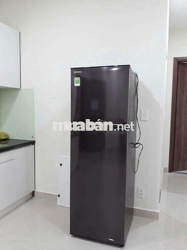 CHO THUÊ CĂN HỘ TOPAZ ELITE 2PN 2WC FULL NỘI THẤT GIÁ 14TR /TH