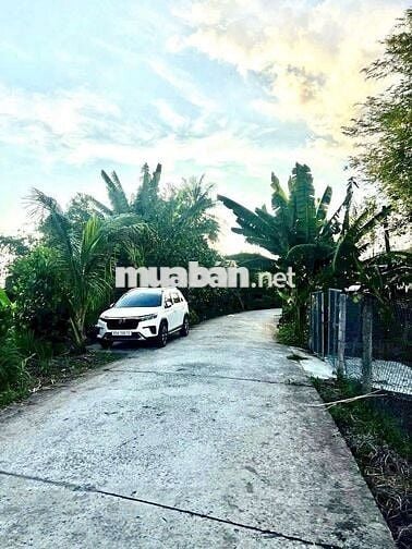 Bán Nền Xẻo Cui Tân Thới 
, PĐ cách chợ Cả Lang 1km , tỉnh lộ 923 2km