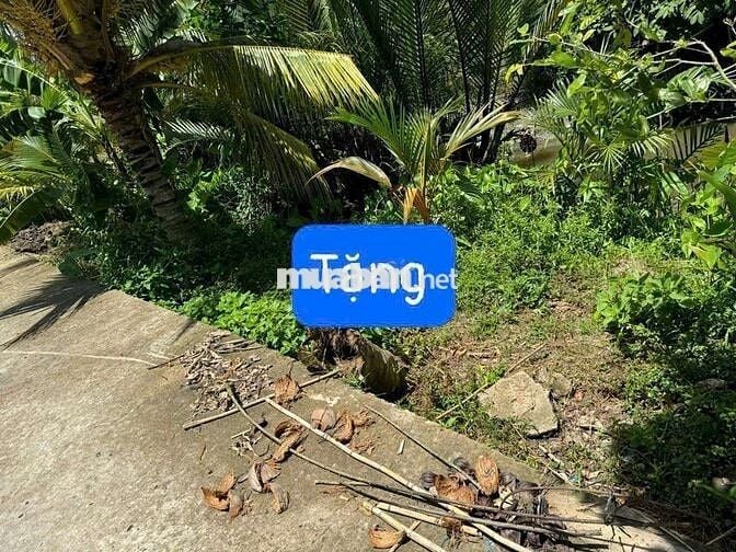Bán Nền Xẻo Cui Tân Thới 
, PĐ cách chợ Cả Lang 1km , tỉnh lộ 923 2km
