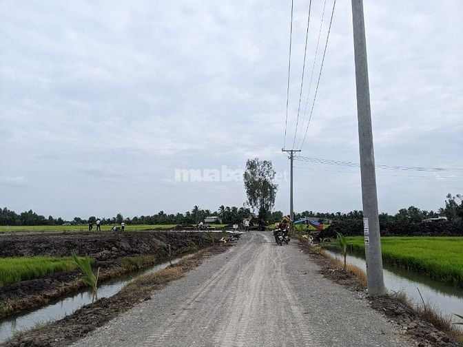 Bán Đất Chính Chủ - dự án ĐT 822B đến đường mòn Hồ Chính Minh