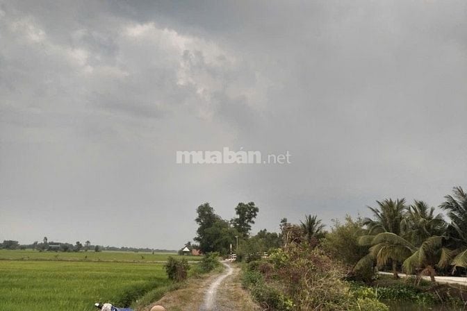 Bán Đất Chính Chủ - dự án ĐT 822B đến đường mòn Hồ Chính Minh