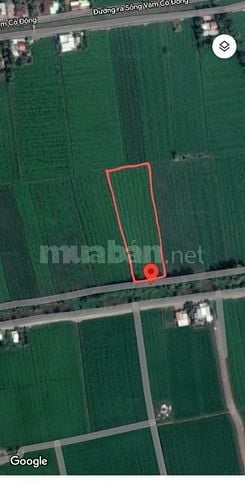 Bán Đất Chính Chủ - dự án ĐT 822B đến đường mòn Hồ Chính Minh