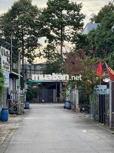 🌻 Đất Đẹp Đường Thông 220m2 - nở hậu ngang 8 - Đông Hoà Dĩ An 🔥