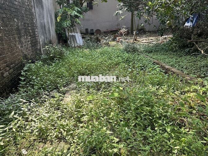 Chính chủ bán nhanh 40m2 đất Liên mạc, ô tô GĐ đỗ cửa Chính chủ bán nhanh 40m2 đất Liên mạc, ô tô GĐ đỗ cửa