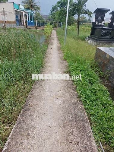 Đất ruộng Phước lại _ cần Giuộc