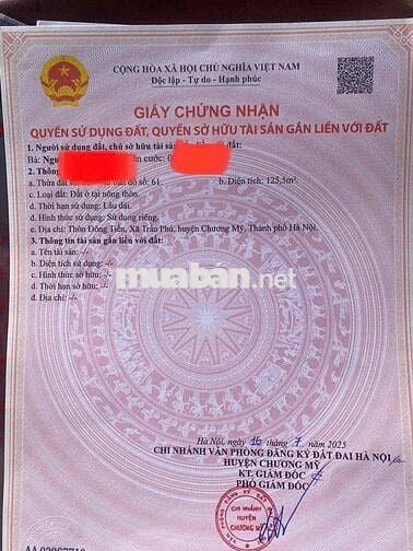 Chính chủ gửi bán mảnh đất 125,5m full thổ 🎉🎉 🚘 Đường mặt tiền 2 ô tô