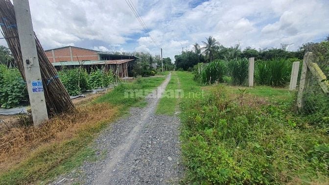 10x50 có thổ cư. Gần KCN Hiệp Thạnh. 950tr. TL 