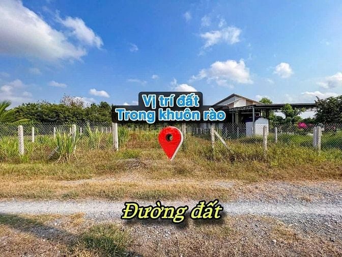 10x50 có thổ cư. Gần KCN Hiệp Thạnh. 950tr. TL 
