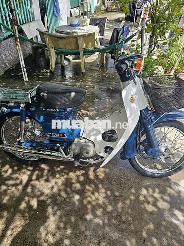 Cần bán Xe Cub 81 50cc