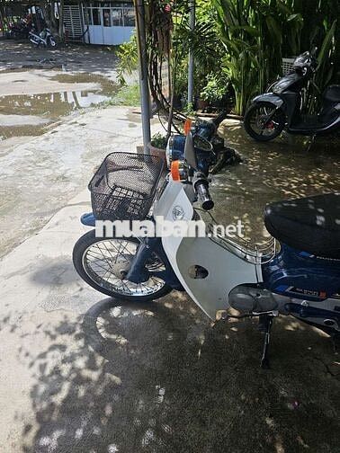 Cần bán Xe Cub 81 50cc