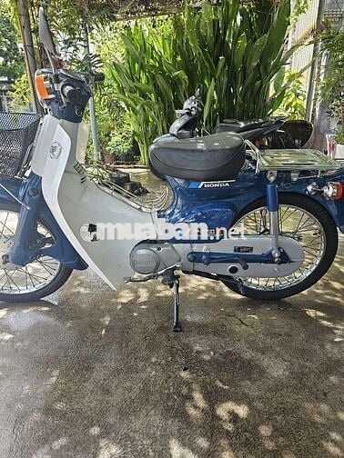 Cần bán Xe Cub 81 50cc