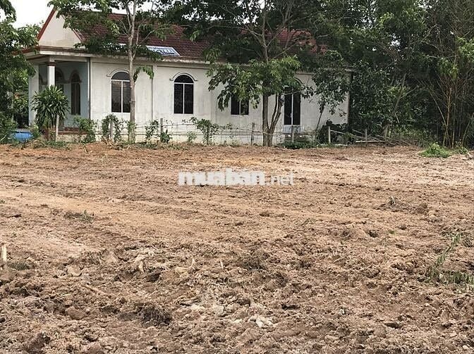 3801m2 Đất Có Sổ Hồng ngay sau lưng chợ Phước Thái