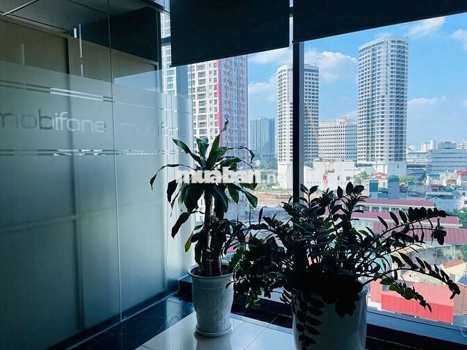 Cho thuê văn phòng Cầu Giấy 231m2 giá tốt tại 82 Duy Tân (Sang Xịn)