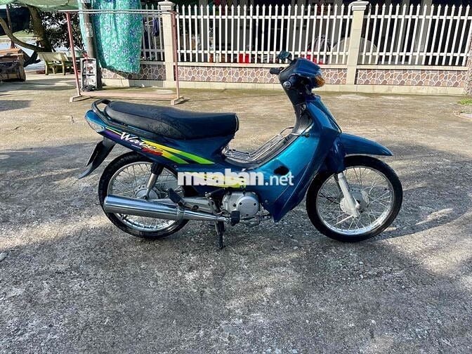 Anpha biển 65