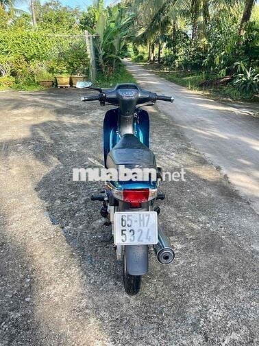 Anpha biển 65
