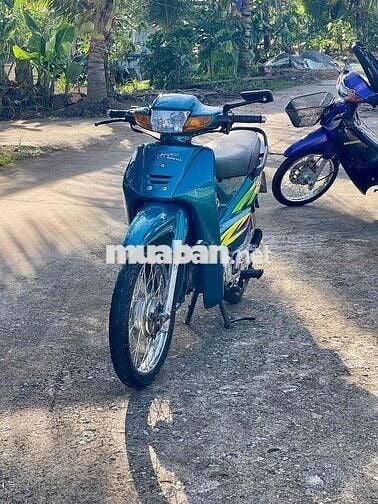 Anpha biển 65