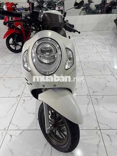 ✅SCOOPY 2024 Đẹp Zin Như Mới 👍