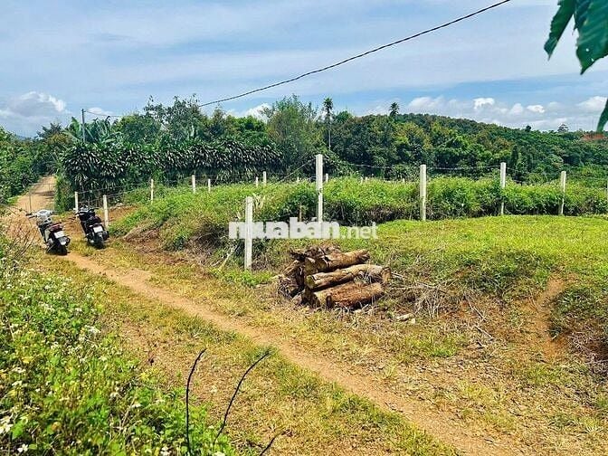 CHỦ NGỘP CẦN BÁN GẤP LÔ ĐẤT NGHỈ DƯỠNG ĐỂ CHO CON ĐI NƯỚC NGOÀI