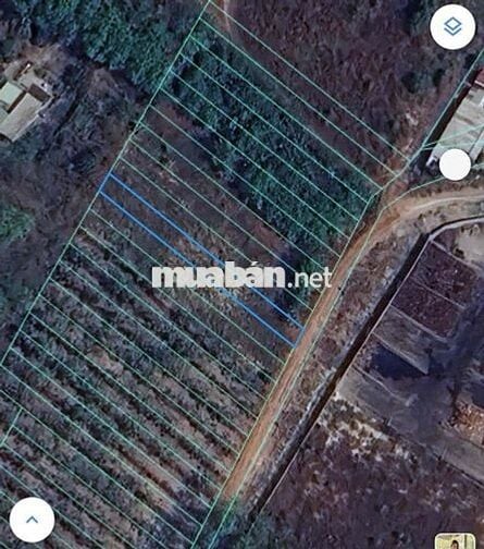đất nền thổ cư 316m vuông minh thạnh tp hồ chí minh