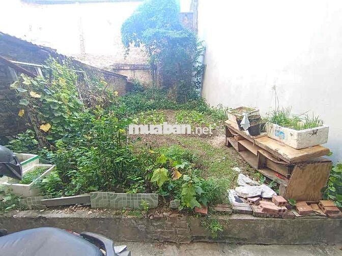 Đất Thuỵ Phương Từ Liêm - 38m2 - mt: 4.2m ngõ nông