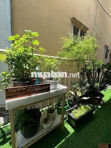 Cần Sang Homestay đang hoạt động