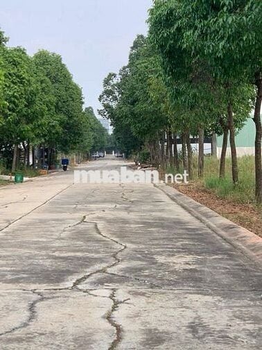 CHÍNH CHỦ BÁN LÔ ĐẤT ĐẸP TẠI PHƯỜNG THỚI HÒA – TP.HCM