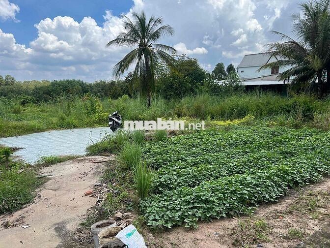 bán đất mặt tiền DT 748 , An Điền , Bến Cát , Bình Dương