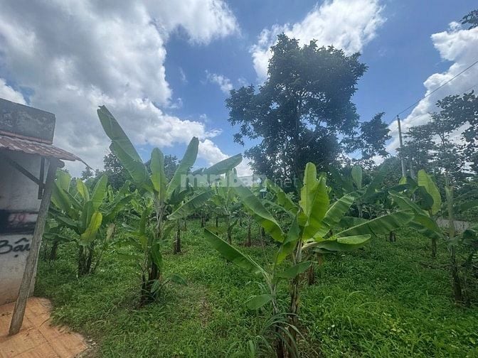 Công ty Đấu giá hợp danh Lam Sơn Sài Gòn THÔNG BÁO ĐẤU GIÁ TÀI SẢN