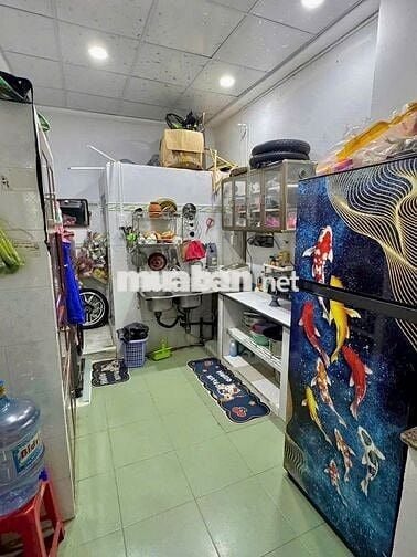 🏡 NHÀ THUÊ ĐẸP DIỆN TÍCH LỚN – HOÀNG HOA THÁM, P7, PHÚ NHUẬN ✨
