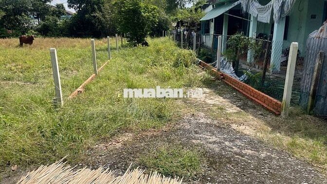 Chủ kẹt tiền cần bán gấp lô 1 sẹc TL7, Thái Mỹ, DT 173m2 giá 600tr SHR