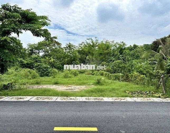 LÀM ĂN THUA LỖ, ÔNG HẰNG GỬI BÁN NHANH LÔ ĐẤT 120M2 SIÊU ĐẸP, SỔ MỚI