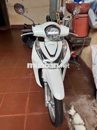 xe còn nguyên zin ít đi bao thầy thợ test ,