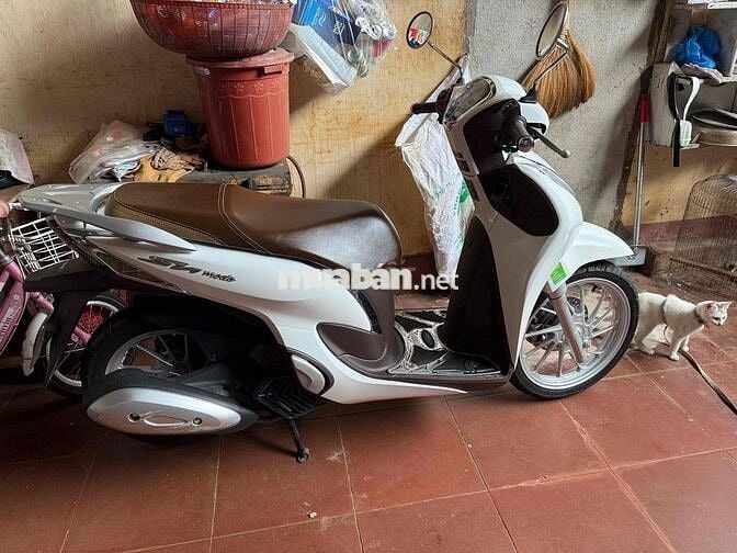 xe còn nguyên zin ít đi bao thầy thợ test ,