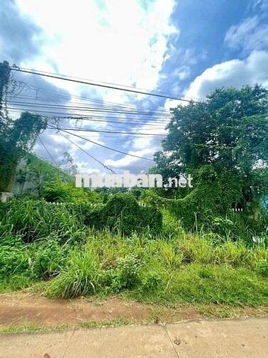 💥 Đất Hẻm 34 Nguyễn Thị Định - P. Thành Nhất - BMT
💰💰