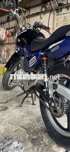 Yamaha YBR 125