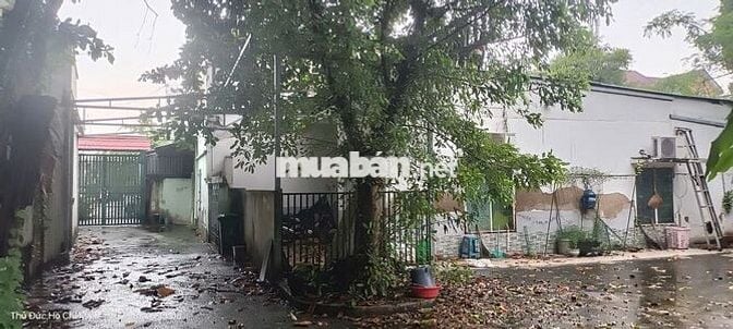 Nhà vườn: 701 m2, khu dân cư Hiệp Bình Chánh, Thủ Đức, TP.HCM.