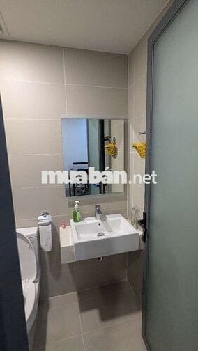 Cho thuê căn hộ/officetel tại chung cư Q7 boulevard
