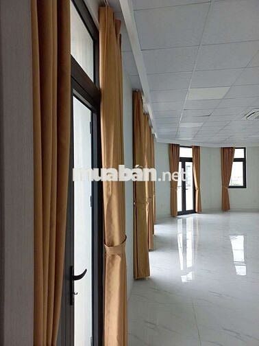 Cho thuê shophouse góc 100m² San Hô Vinhomes OCP full ĐH thang máy